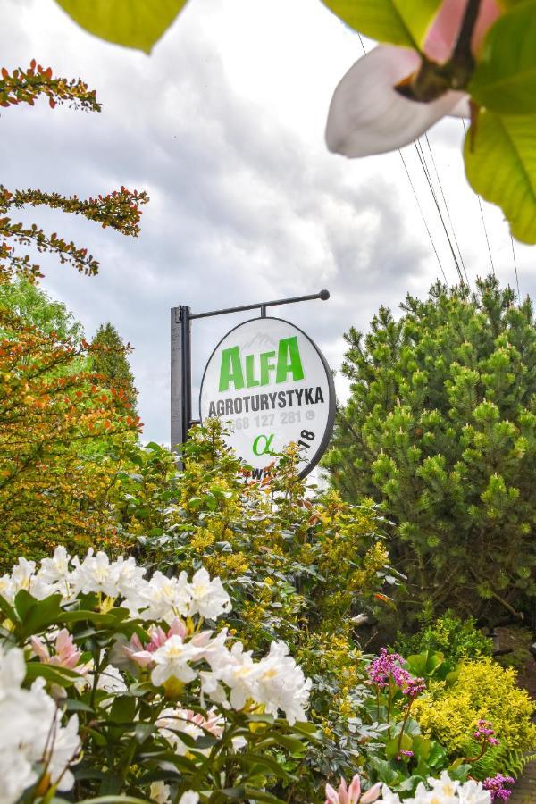Agroturystyka Alfa Bystra  Ngoại thất bức ảnh