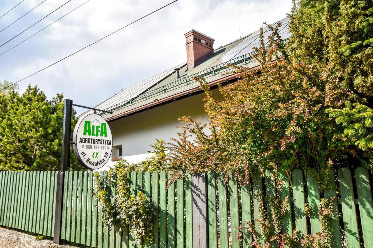 Agroturystyka Alfa Bystra  Ngoại thất bức ảnh